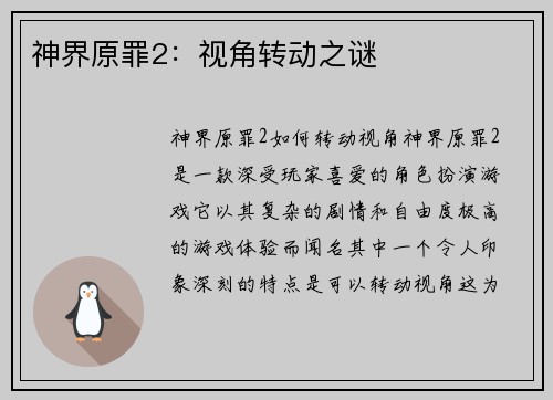 神界原罪2：视角转动之谜
